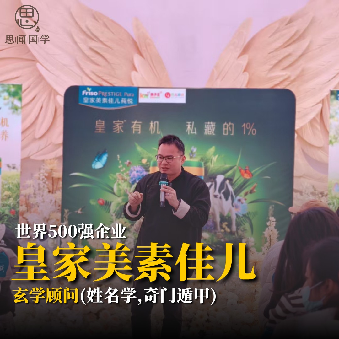 皇家美素佳兒顧問（世界 500 強）